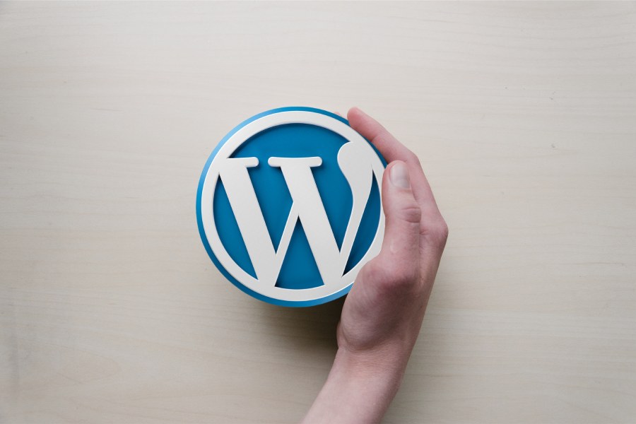 Logo WordPress mano